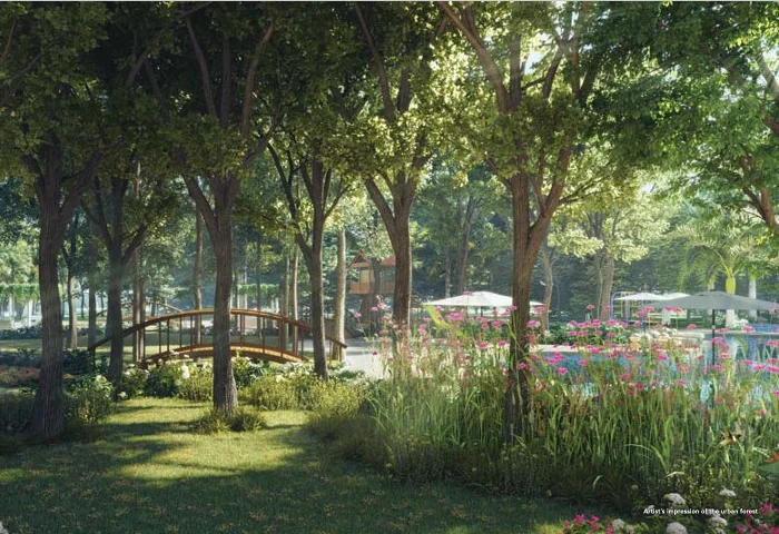 Garden edge and water body at Total Environment Yelahanka